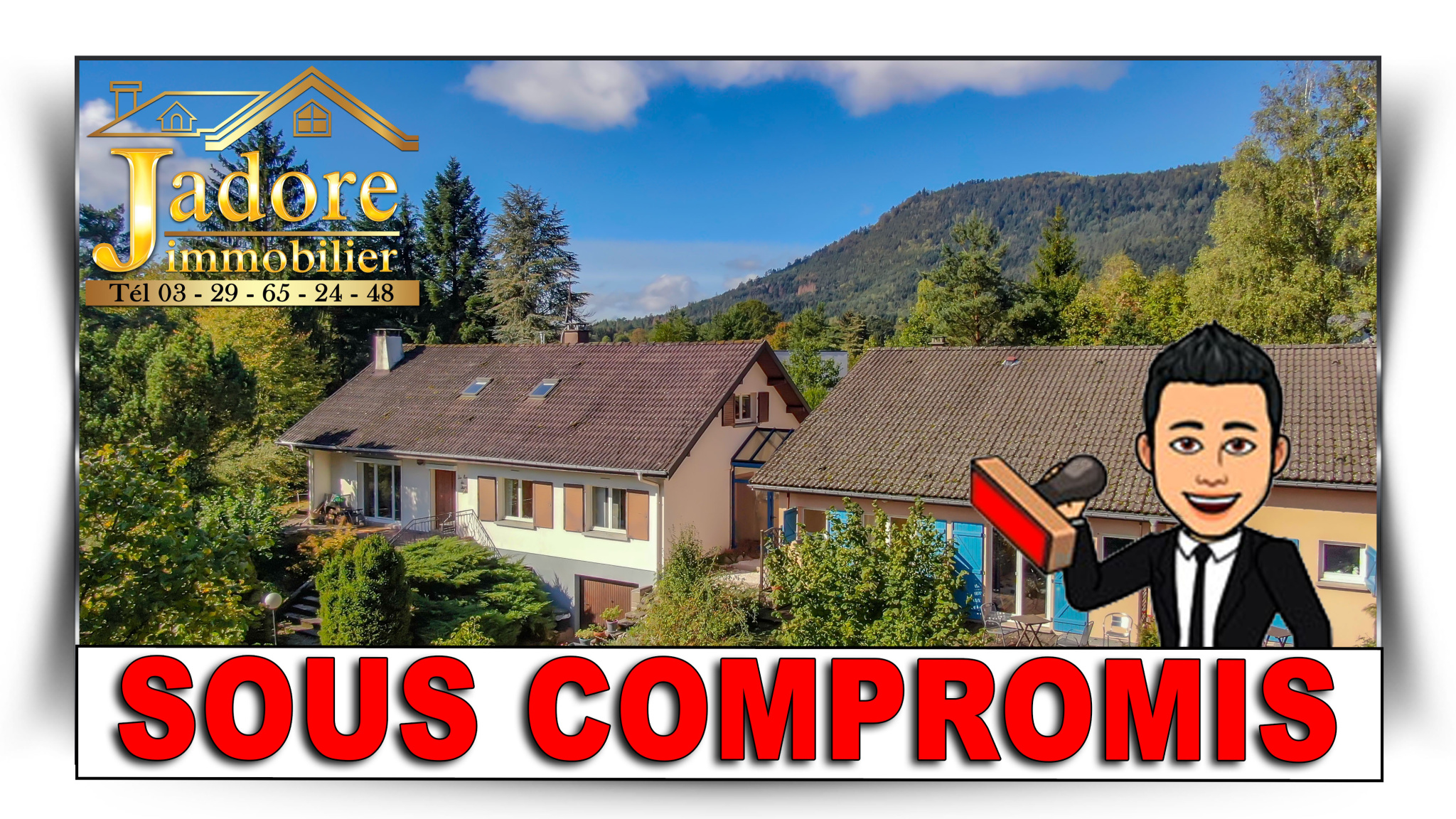 maison/villa à vendre st die des vosges