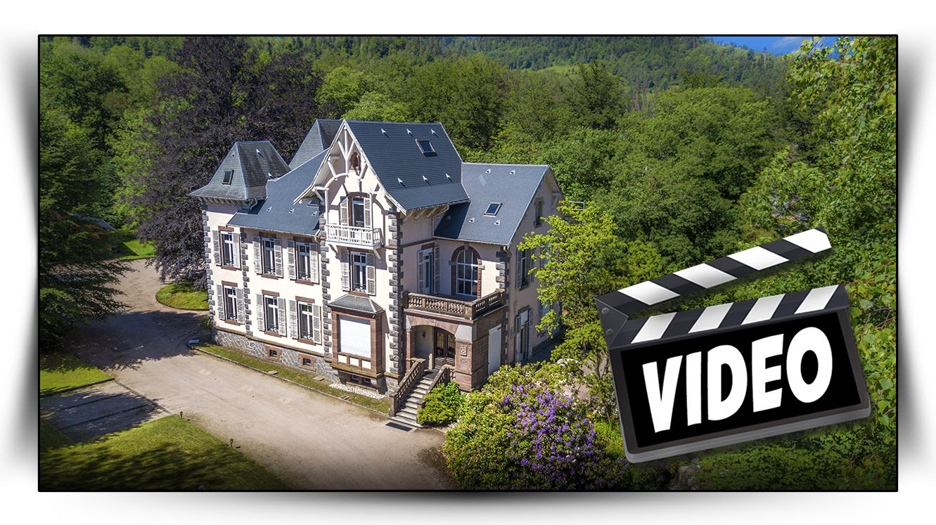 chateau à vendre gerardmer